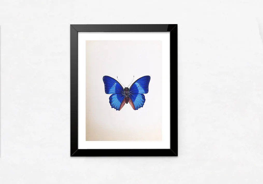 A Charming Butterfly in Miniature Painting by Mohan Prajapati