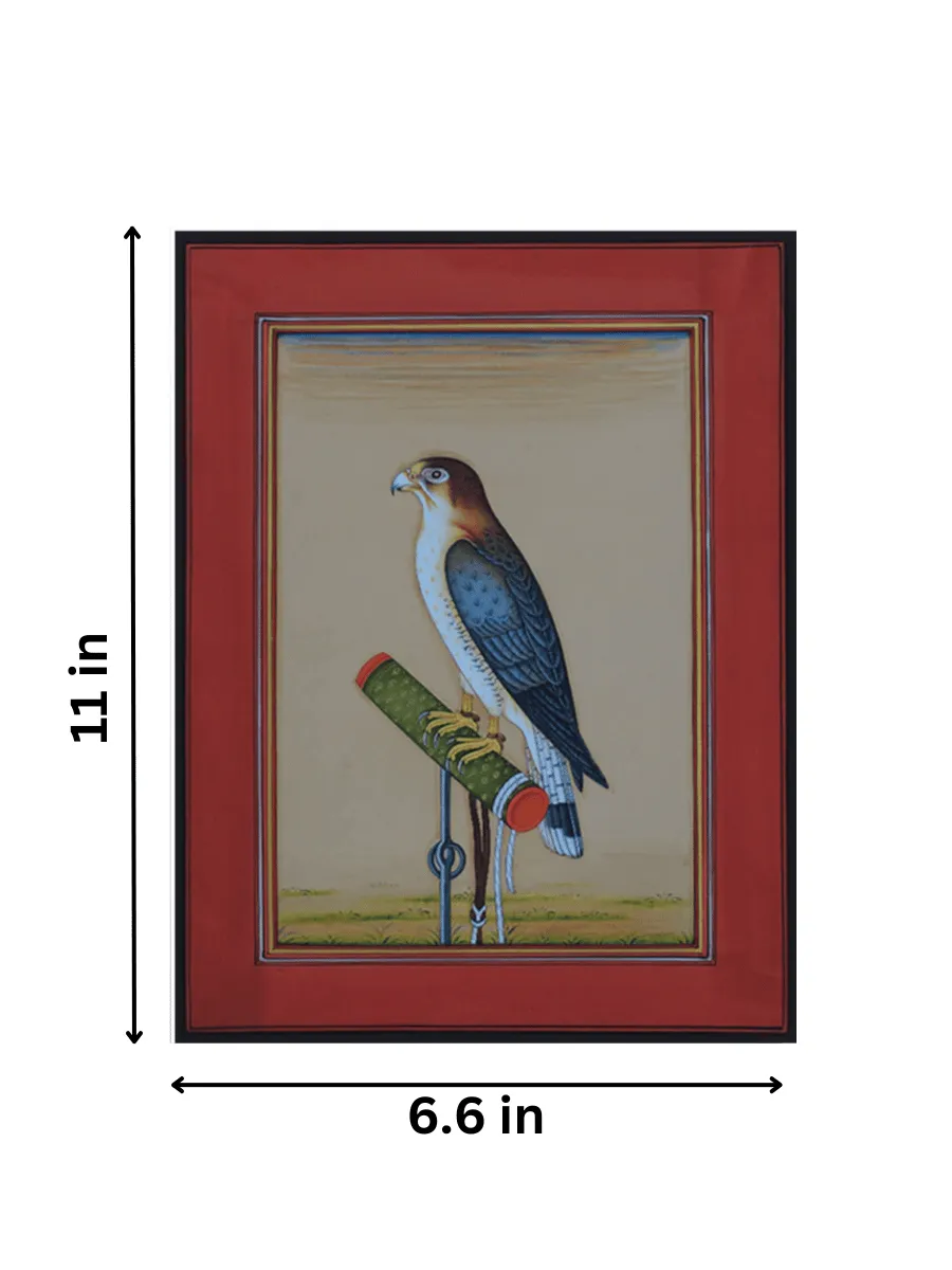 A Vibrant Falcon in Miniature Painting by Mohan Prajapati