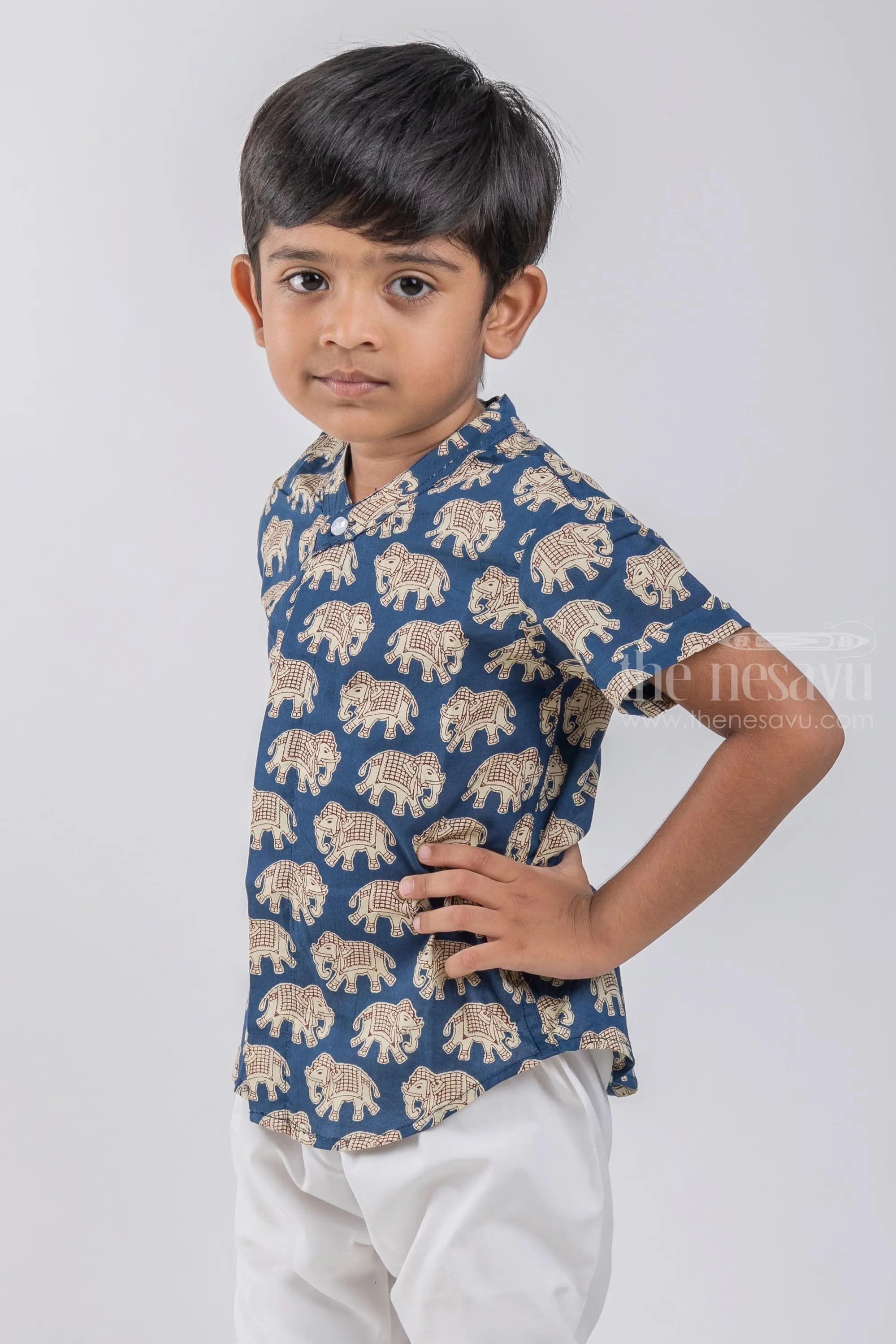 Boys Madhubani Elephant Printed Blue Cotton Shirt by The Nesavu