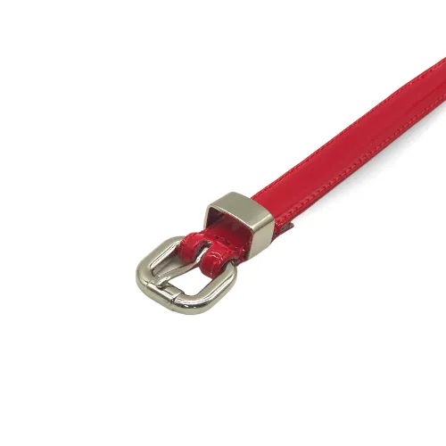 Gift Box | Women's Silver & Red Skinny Leather Belt Gift Set