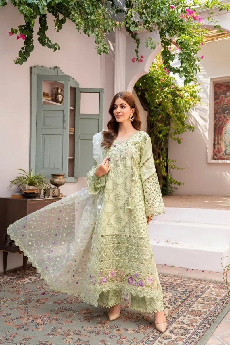 Karma Festive Embroidered Cotton Pakistani Suit KAR95