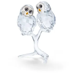 OWL COUPLE